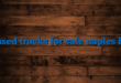 used trucks for sale naples fl
